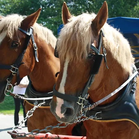 Haus Hubertus Hotel 3*