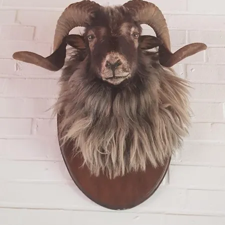 Hotel Haus Hubertus 3*